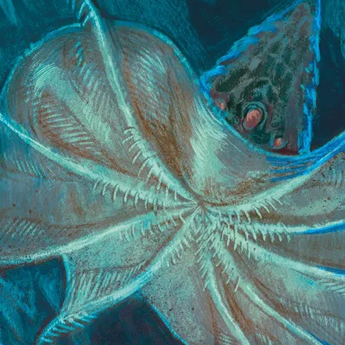Тёмная мантия